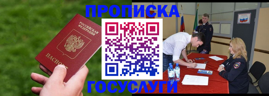 где прописаться в Павловске