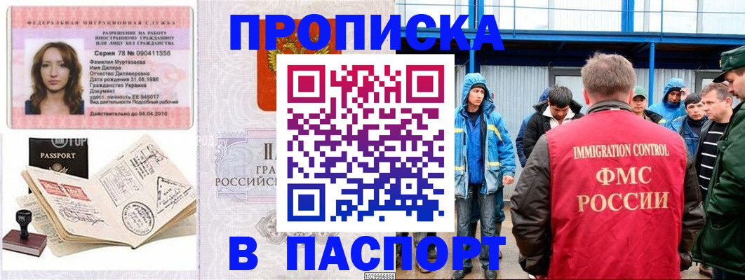 временная регистрация недорого в Павловске